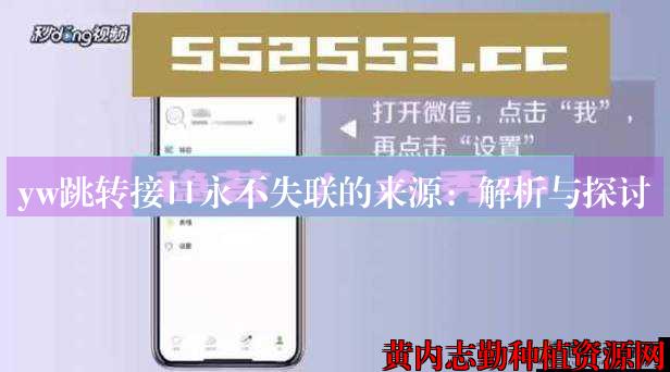 yw跳转接口永不失联的来源：解析与探讨