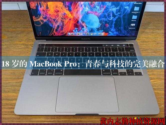 18 岁的 MacBook Pro：青春与科技的完美融合