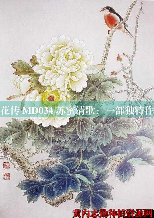 麻花传 MD034 苏蜜清歌：一部独特作品