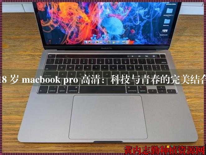 18 岁 macbook pro 高清：科技与青春的完美结合