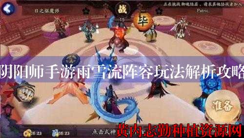 阴阳师手游雨雪流阵容玩法解析攻略