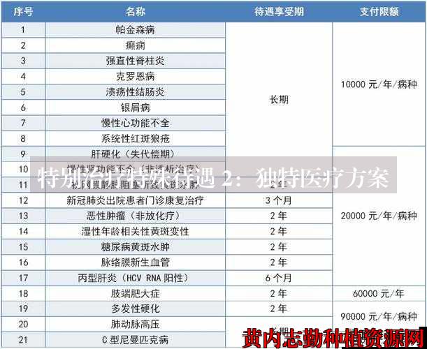 特别治疗特殊待遇 2：独特医疗方案