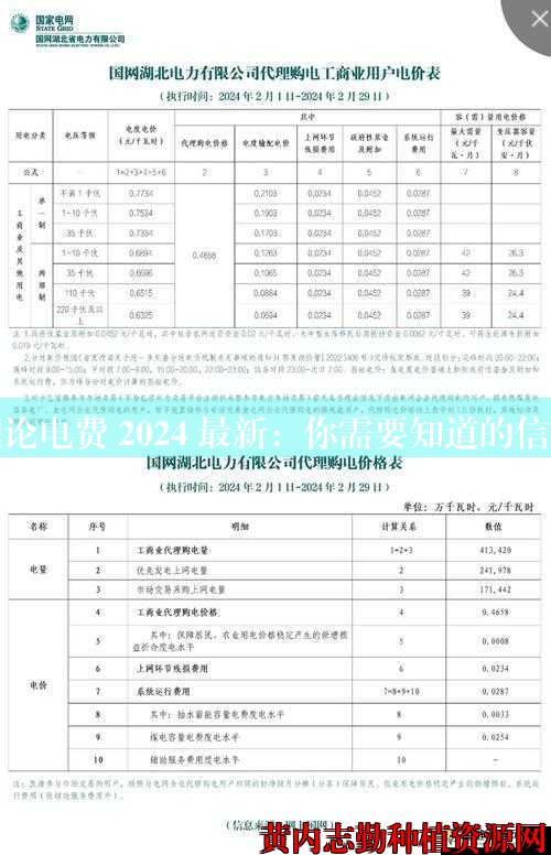 理论电费 2024 最新：你需要知道的信息