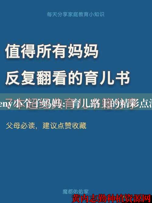 oeny小个子妈妈：育儿路上的精彩点滴