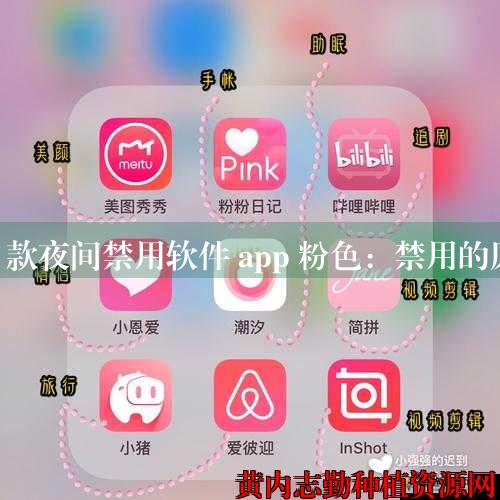 100 款夜间禁用软件 app 粉色：禁用的原因