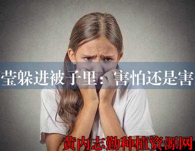 周莹躲进被子里：害怕还是害羞