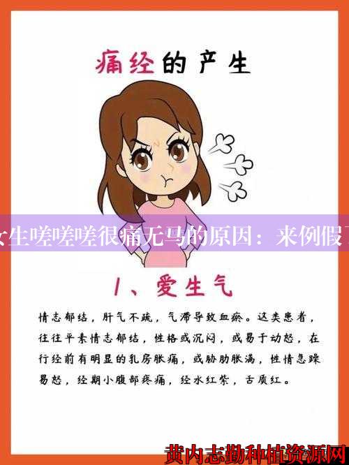 女生嗟嗟嗟很痛无马的原因：来例假了