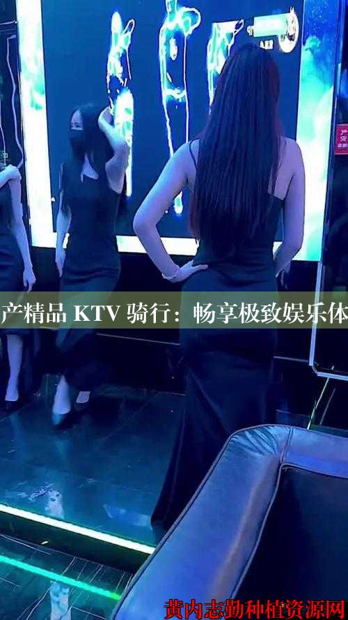 国产精品 KTV 骑行：畅享极致娱乐体验