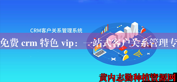 成免费 crm 特色 vip：一站式客户关系管理专家