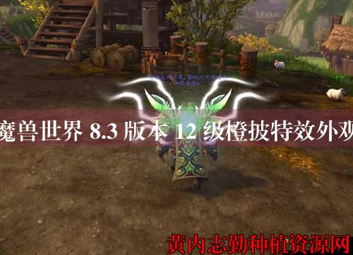 魔兽世界 8.3 版本 12 级橙披特效外观